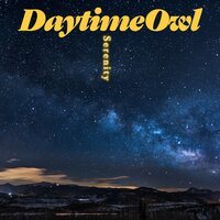 Warm and Toasty - Daytime Owl