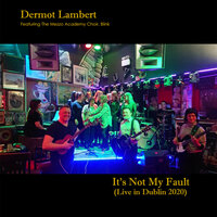 It's Not My Fault - Dermot Lambert & Mezzo Academy Choir & Blink & Dermot Lambert feat. Mezzo Academy Choir, Blink