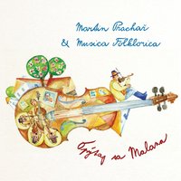Verbujú, verbujú - Musica Folklorica & Martin Prachař