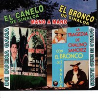 Eden Caro - El Canelo & El Canelo De Sinaloa