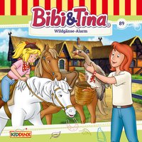 Kapitel 26: Wildgänse-Alarm (Folge 89) - Bibi und Tina