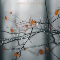 Blue Skies (With Nature Sounds) - Baby Sleep Music & Musique pour dormir & Dormir Bien
