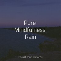 Cozy Campfire - Rain Drops for Sleep & Masters of Binaurality & meditacou musica ambiente