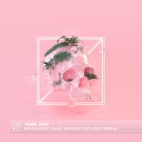 Anymore - Brevis & Roasty Suave & Holly Terrens
