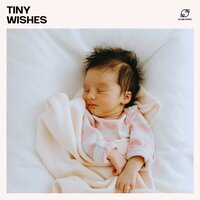 Dreamy Delights - Baby Sleep Zone & BabySleepDreams & Calm Lullabies Universe & Little Star Lullabies