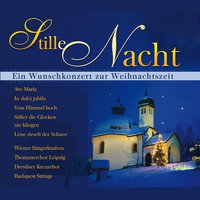 Ave Maria - Regensburger Domspatzen & Франц Шуберт