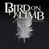 Bows and Pitchforks - Bird on a Limb