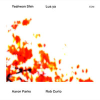 A Morning Song - Yeahwon Shin & Aaron Parks & Rob Curto