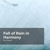 Rain Falling in Melody - Rain Sounds & Natural Rain Sounds for Sleeping & Rain Storm Sample Library