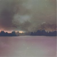 Night Escape - The New Division