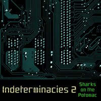 Amphegcy - Sharks on the Potomac