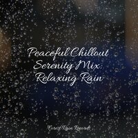 Windy Rainstorm - Hipnose Natureza Sons Coleção & Tonal Meditation Collective & Sleep Lullabies for Newborn