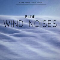 Wind Sounds to Calm Down - Nature Sounds & Music Library