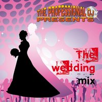 Unchained Melody - The Professional DJ & Danny Supply