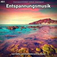 Zeit für Erfüllung - Entspannungsmusik Nils Stieldorff & Schlafmusik & Entspannungsmusik