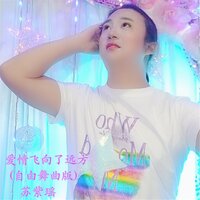 爱情飞向了远方 - 苏紫瑶