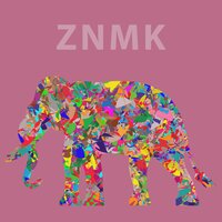 Jazz And House - ZNMK