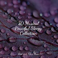 Natural Peace - Water Sound Natural White Noise & Sleep Sounds Of Nature & Musica Para Niños