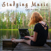 Music for Study and Zen Nature Sounds - Study Playlist & Studying Music & Music For Studying