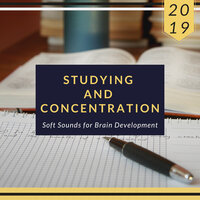Brain Stimulation - Study Memory Improvement