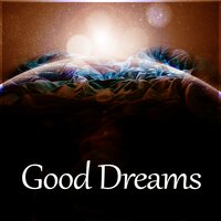 Basic Sleep Cycle - Sleep & Dream Academy