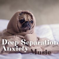 Happy Cat - Jazz Pets Relax
