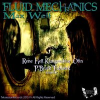 Fluid Mechanics - Max Weit & FabioTek