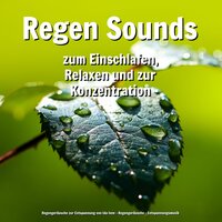 Regenstimmung für Wellness - Entspannungsmusik & Regengeräusche & Regengeräusche zur Entspannung von Ida Iven
