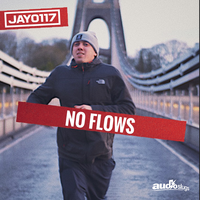 No Flows - Jay0117 & Audio Slugs
