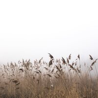 Equilibrium - Echoes of Nature & Sample Rain Library & Massagem Guru