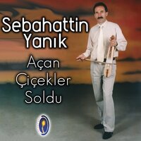Mevlamdır Kavuşturur - Sebahattin Yanık