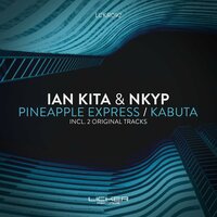Pineapple Express - Ian Kita & Nkyp