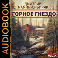 Дмитрий Мамин-Сибиряк. «Горное гнездо». Часть 22 - Павел Костин
