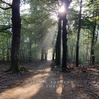 ASMR Listen to the Footsteps - Walking through the Forest