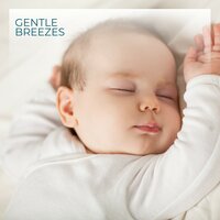 Soft Dreams - Lullaby Sleep Haven