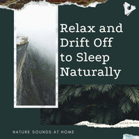 Relaxing Music for Deep Sleep - Nature Sounds At Home