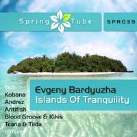 Islands of Tranquility - Evgeny Bardyuzha