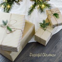 Joy to the World - Christmas Music Lullabies & Calming Christmas Music & Christmas Baby Lullabies