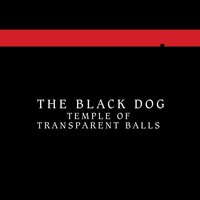 Cost II - The Black Dog
