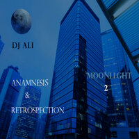 Night Light Fixture - Ramsses Ali Quesada (DJ Ali)
