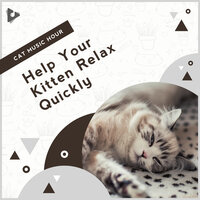Best Ambience with Birds Chirping - Cat Music Hour & Relaxing Music for Cats & Relaxing Kitten Music