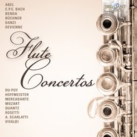 I. Allegro maestoso - Sinfonia Finlandia Jyväskylä & Patrick Gallois & Patrick Gallois & Sinfonia Finlandia Jyvaskyla