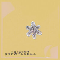 freeze - Knowsum