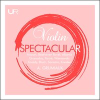 Romance for Violin & Orchestra, No.2 Op. 50 - Arthur Grumiaux & Ludwig van Beethoven