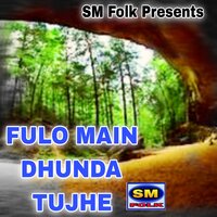 FULO MAIN DHUNDA TUJHE - Shankar