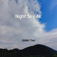Shopping Center Song - Aiden Yoo