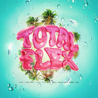 Total Flex - MC Vigary & Mc Nando Dk & Souza Beats