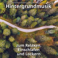 Musik zur Entspannung - Entspannungsmusik Abteilung & Schlafmusik & Entspannungsmusik