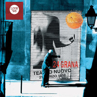 Loop - 24 Grana