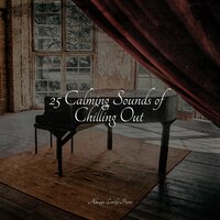 Road from Ruin - Tranquil Music Sound Of Nature & Baby Sleep Music & Relaxing Piano Jazz Music Ensemble
